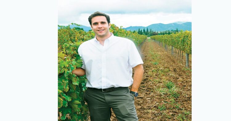 vinos