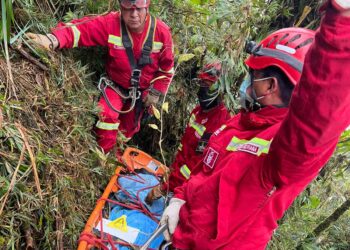 Encuentran en el camino a Yungas el cuerpo de Wilma, desaparecida hace 11 días