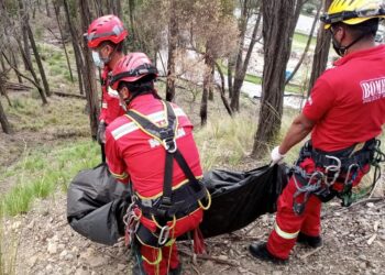Identifican el cuerpo desmembrado que fue encontrado en el bosquecillo de Pura Pura