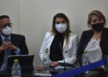 Jeanine Áñez: ‘Yo tendría que ser sometida a un juicio de responsabilidades’