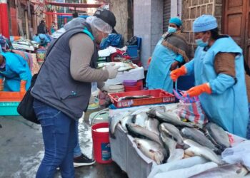 En operativos por Semana Santa, la Intendencia halla pescados en mal estado