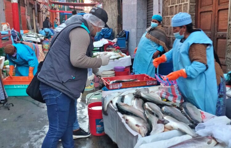 En operativos por Semana Santa, la Intendencia halla pescados en mal estado
