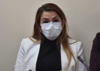 Áñez cuestiona la exclusión de una ‘prueba’ que el TCP había declarado no vinculante