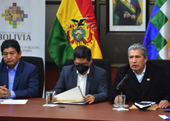 El Gobierno anuncia operativos sorpresas en sitios de venta de autos chutos