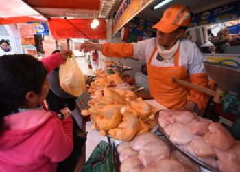 Siles: Intermediarios ‘ocultan’ el maíz y generan incremento del precio de la carne de pollo