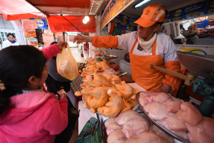 Siles: Intermediarios ‘ocultan’ el maíz y generan incremento del precio de la carne de pollo