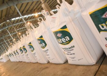 El Gobierno prevé un ingreso de $us 400 millones por venta de urea hasta fin de 2022