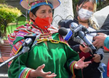 La exlegisladora del MAS Lidia Patty.