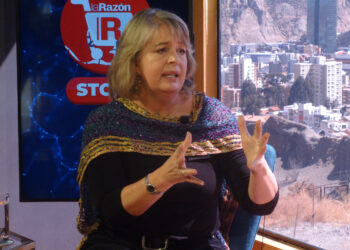 La directora de la Red Andina de Información de Derechos Humanos (DDHH), Kathryn Ledebur.
