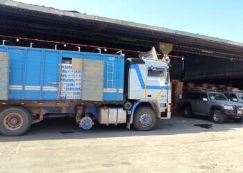 La Aduana incauta tres camiones con 44 toneladas de cerveza y harina argentina en Tarija