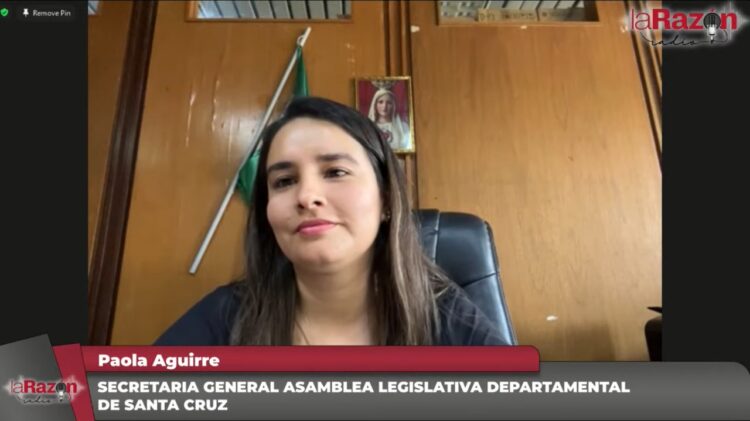 Asambleísta departamental de Santa Cruz: ‘A la gente no le interesa si el MAS está unido o fuerte’