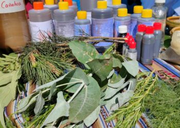 Remedios tradicionales que presentaron los expositores.