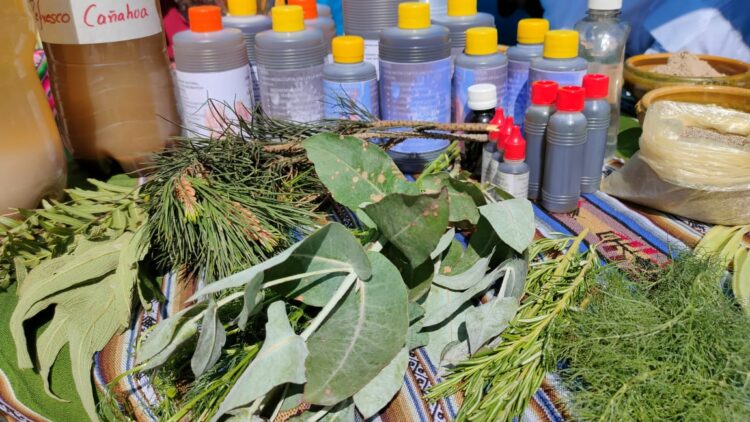 Remedios tradicionales que presentaron los expositores.