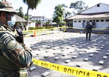 Lucha antidroga en Bolivia: En 8 meses se incautó 156,1 toneladas de droga en 6.669 operativos
