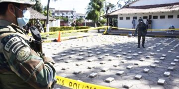 Lucha antidroga en Bolivia: En 8 meses se incautó 156,1 toneladas de droga en 6.669 operativos