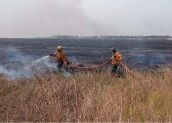 En el país se registran 24 incendios activos en cuatro departamentos