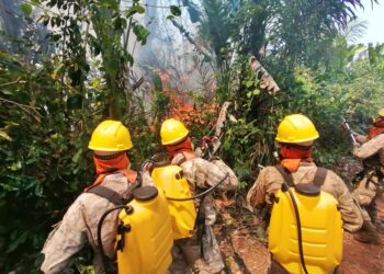 Una intensa lluvia ‘ayuda’ a sofocar incendios en cinco regiones de Santa Cruz