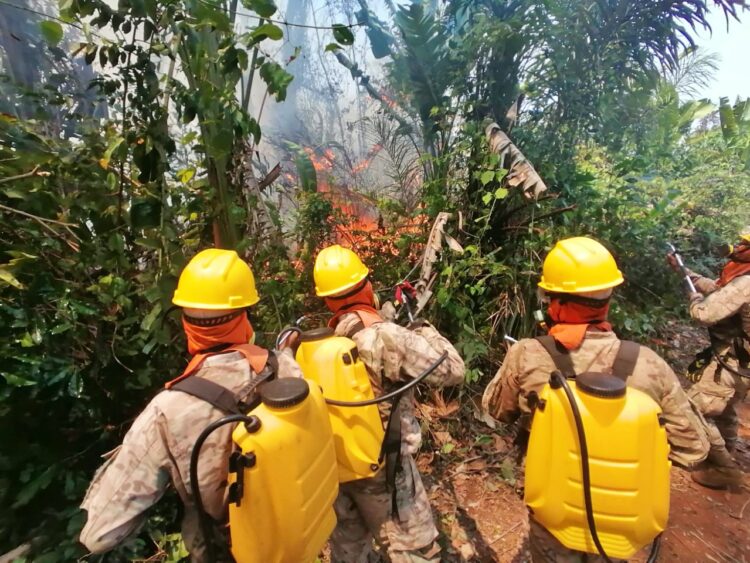 Una intensa lluvia ‘ayuda’ a sofocar incendios en cinco regiones de Santa Cruz