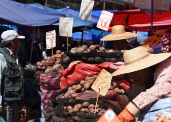 Denuncian que el precio de la papa se dispara en los mercados del país