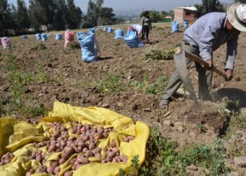 Agropecuarios de Cochabamba descartan medidas de presión ante el paro en Santa Cruz