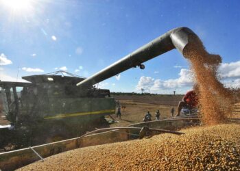 Por la seguridad alimentaria, Gobierno suspende temporalmente la exportación de seis productos