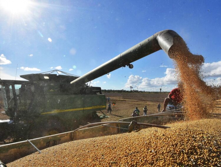 Por la seguridad alimentaria, Gobierno suspende temporalmente la exportación de seis productos