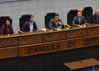 Sin Mamani, el MAS y la oposición eligen a Mercado al frente de la Cámara de Diputados