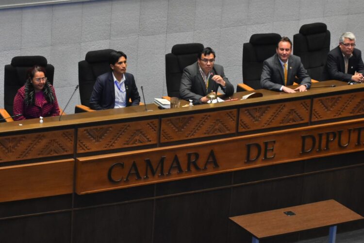 Sin Mamani, el MAS y la oposición eligen a Mercado al frente de la Cámara de Diputados