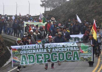 Adepcoca de Machicado instruye ‘gran movilización y bloqueo de caminos’ desde el lunes