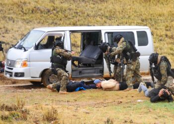 Operativos anticontrabando y comisos se incrementan en las fronteras