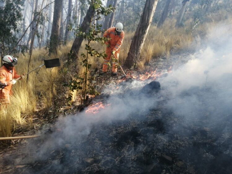En menos de 10 días, el bosquecillo de Pura Pura sufre otro incendio