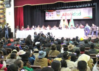 La Asamblea de la Alteñidad respalda Censo y distribución de recursos en 2024