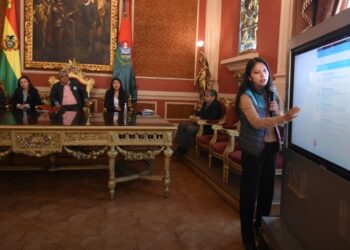 La Alcaldía de La Paz lanza el servicio de fichas médicas virtuales