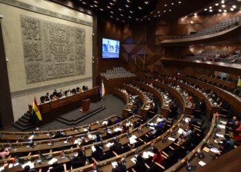 Una sesión plenaria de la Cámara de Diputados. Foto: Archivo La Razón.