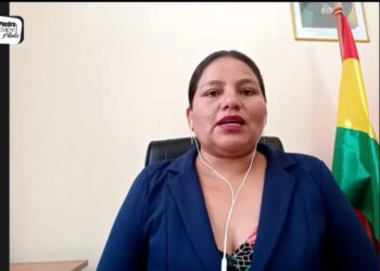 Diputada Choque lamenta existencia de dos posiciones distintas sobre ley por el Censo