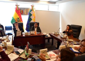 Loza cree que la Asamblea no puede ‘salvar’ con una ley a ‘delincuentes’ del paro cruceño