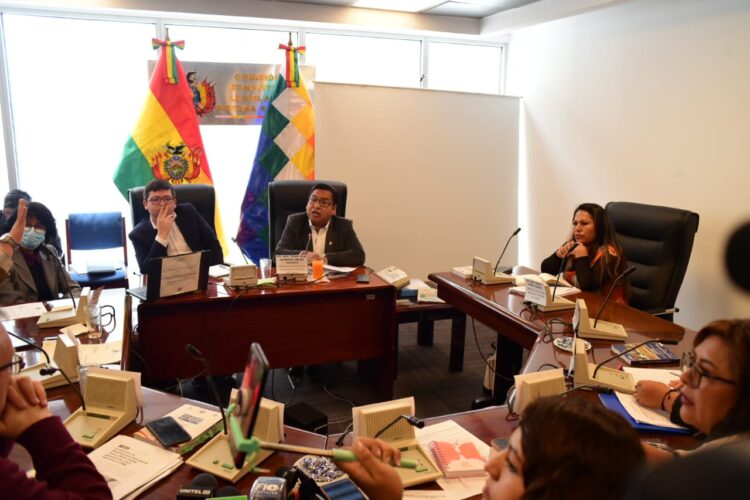 Loza cree que la Asamblea no puede ‘salvar’ con una ley a ‘delincuentes’ del paro cruceño