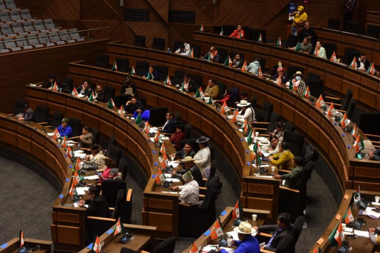 El Hemiciclo de la Cámara de Diputados. Foto: Rodwy Cazón.