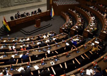 La sesión en la Cámara de Diputados. Foto. Rodwy Cazón.