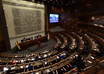 La sesión plenaria en la Cámara de Diputados. Foto: Rodwy Cazón.