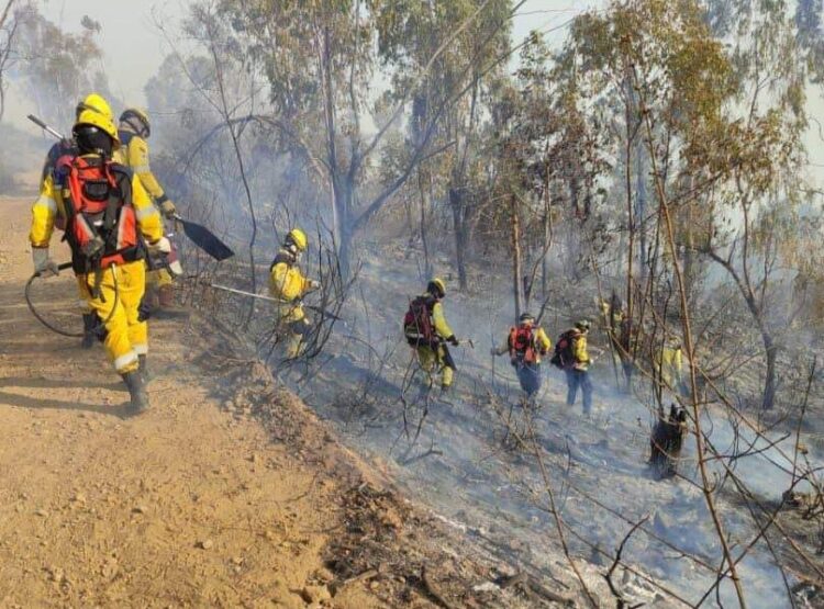 Incendios