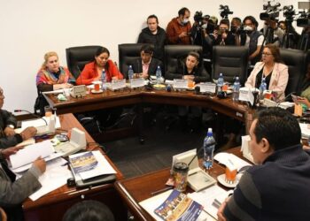 La Comisión de Constitución remitió el informe al pleno de Diputados. Foto: Cámara de Diputados.