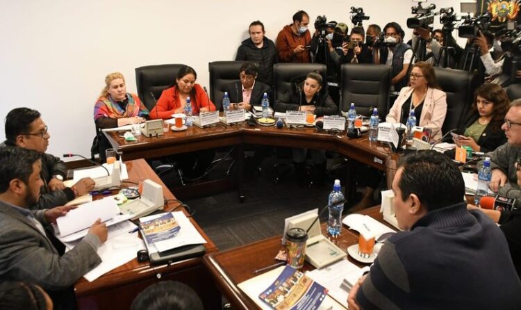 La Comisión de Constitución remitió el informe al pleno de Diputados. Foto: Cámara de Diputados.