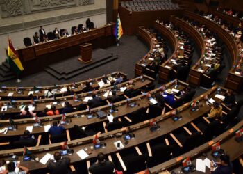 El pleno de la Cámara de Diputados. Foto: Roberto Guzmán.