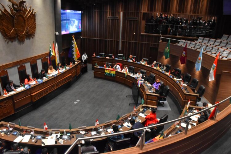 La Cámara de Senadores sesionará el martes; se espera la sanción de la ley por el Censo