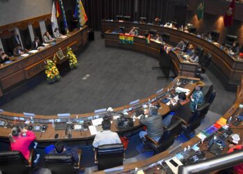 Una sesión plenaria en la Cámara de Senadores. Foto: APG.