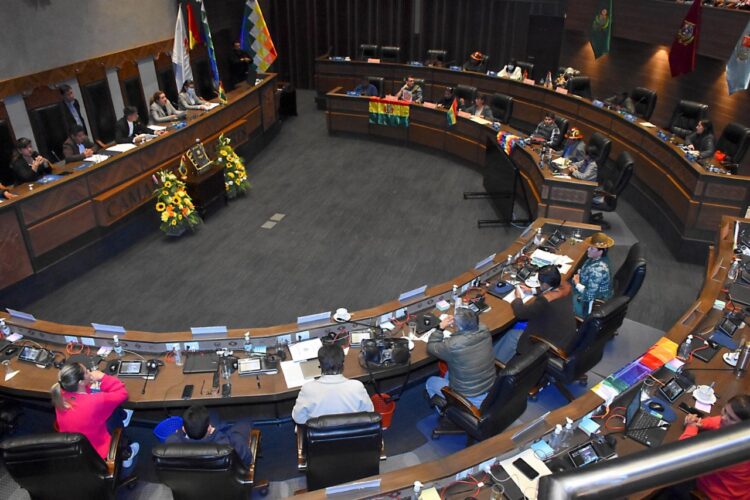 Una sesión plenaria en la Cámara de Senadores. Foto: APG.