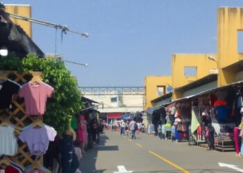 Diputada presenta denuncia penal contra autores de saqueos en un mercado cruceño