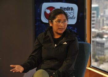 Copa: Se desenmascarará qué legisladores ‘entorpecen’ la gestión de Arce