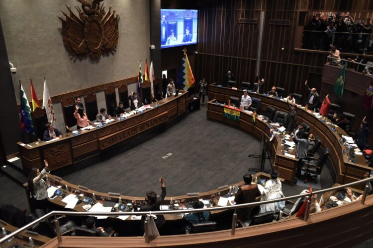 Senador advierte que la división del MAS puede generar ‘grave estado de ingobernabilidad’